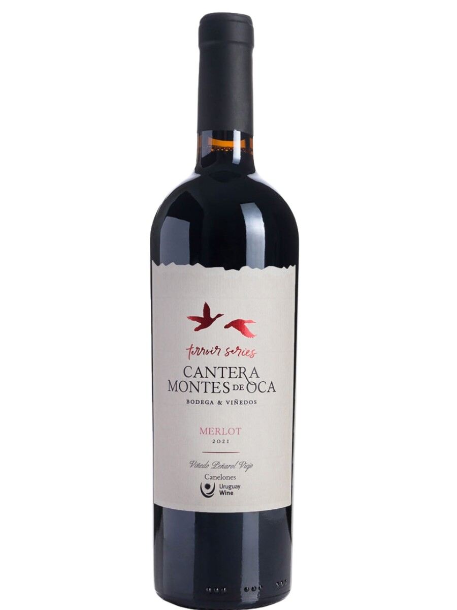 Merlot Cantera montes de oca 