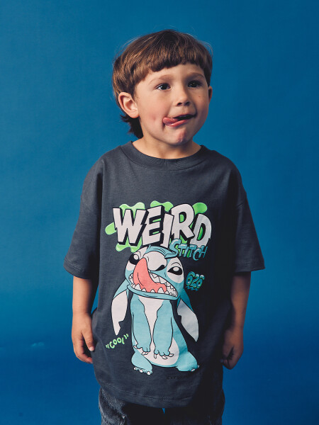 REMERA WEIRD STITCH GRIS