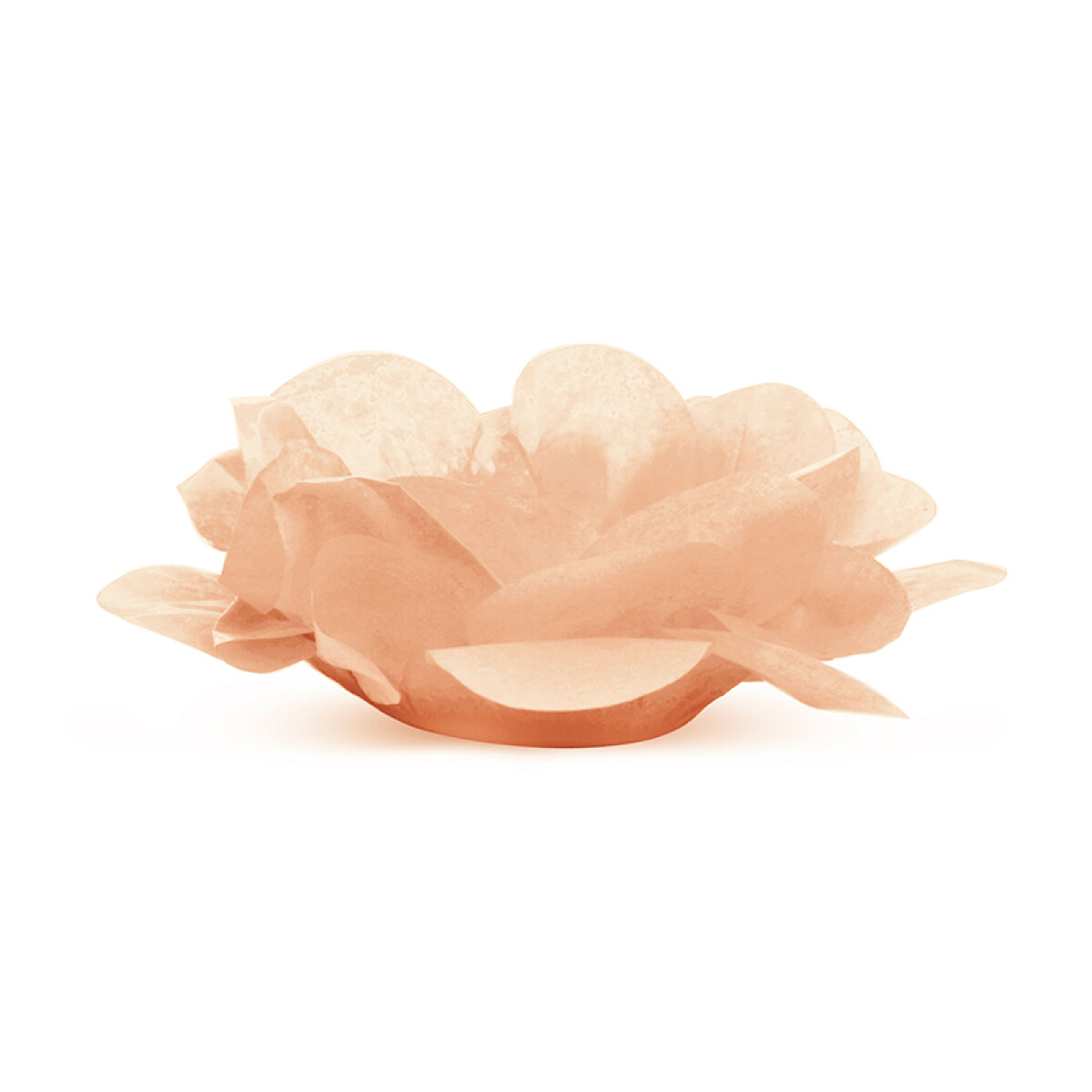 Formita Rosa x40 - Beige 