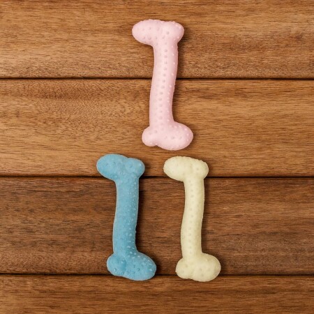 JUGUETE PARA MASCOTA HUESO DE SILICONA JUGUETE PARA MASCOTA HUESO DE SILICONA