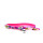 COLLAR ESTAMPADO PARA GATO FUCSIA