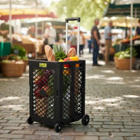 Carro iCart Multiuso Plegable y Súper Resistente Carro iCart Multiuso Plegable y Súper Resistente