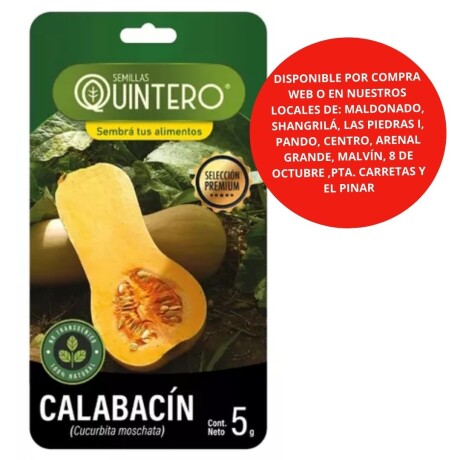 Semillas Calabacín X 5G