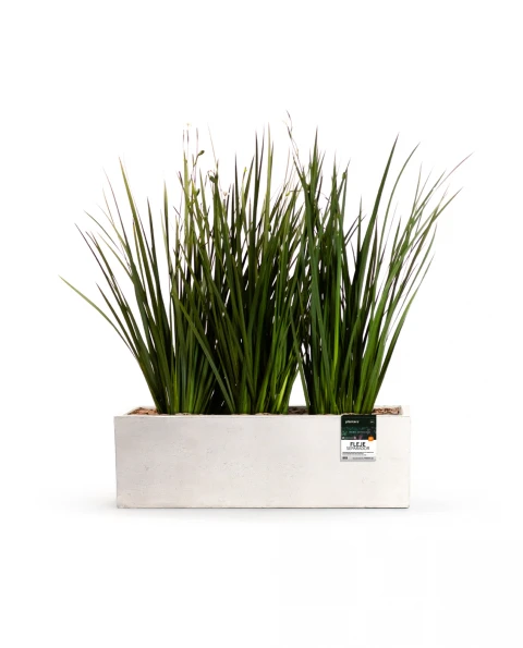 KIT Jardinera Fibrocemento - Term. "Natural" 1m x 30cm x 30cm KIT Jardinera Fibrocemento - Term. "Natural" 1m x 30cm x 30cm