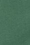 CAMISA LISA CON RIBETE VERDE