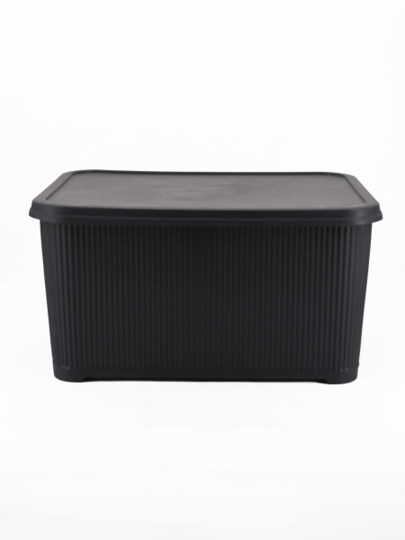 CAJA ORGANIZADORA CON TAPA GRIS