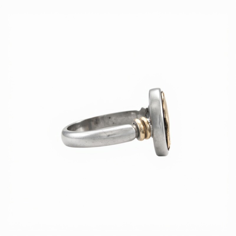 Anillo Profesión Químico Farmacéutico -Plata y Oro- Con Piedra Ónix -AP5053 sinpiedra