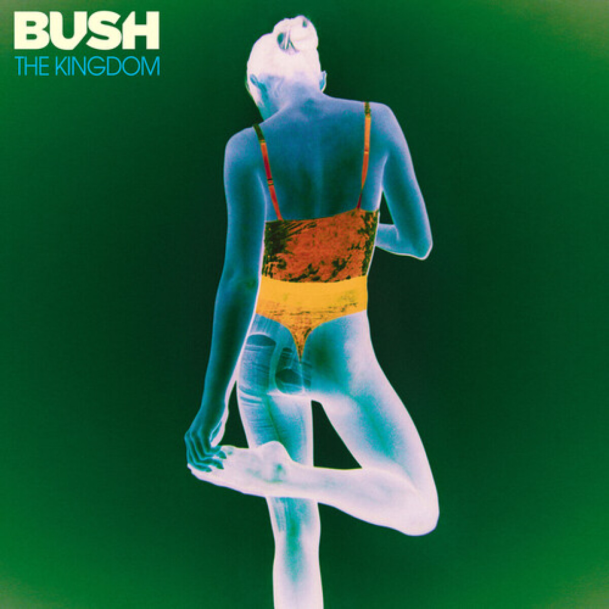 Bush - Kingdom (cd) 