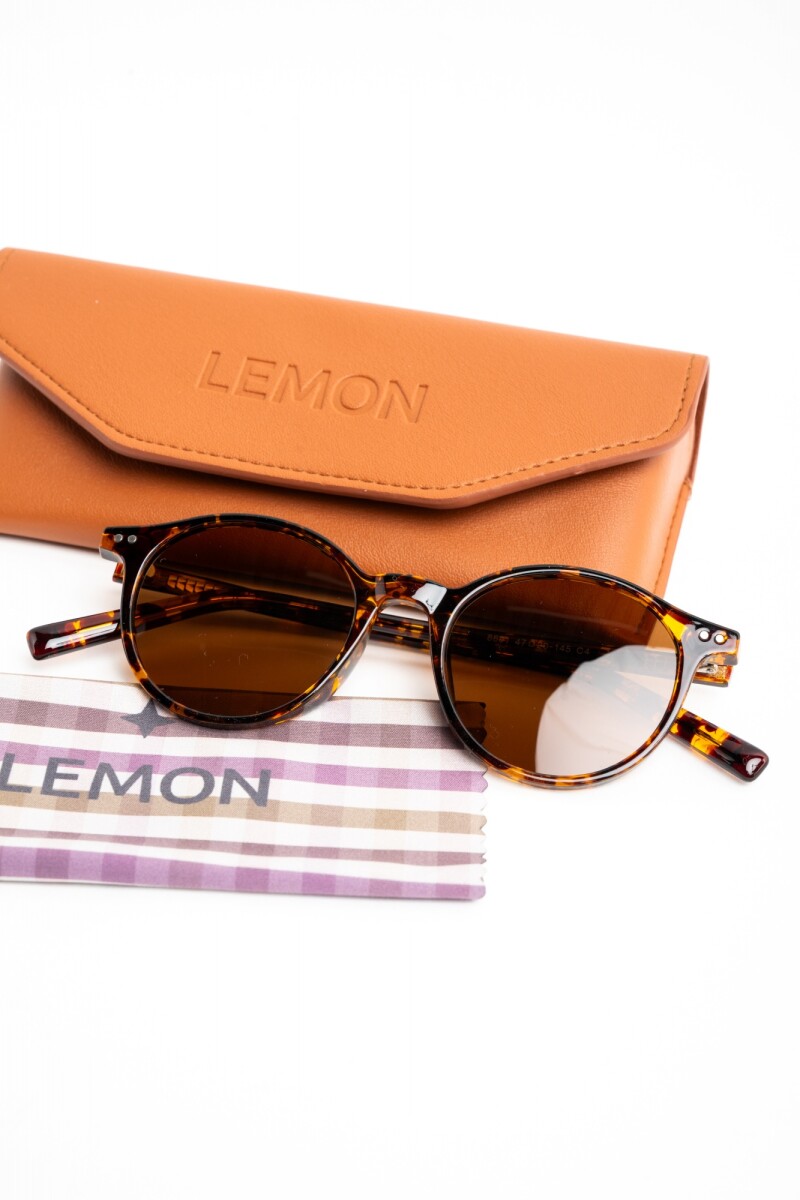 Lentes De Sol Polarizados Marron