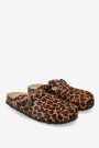CLOG CORAL Leopardo