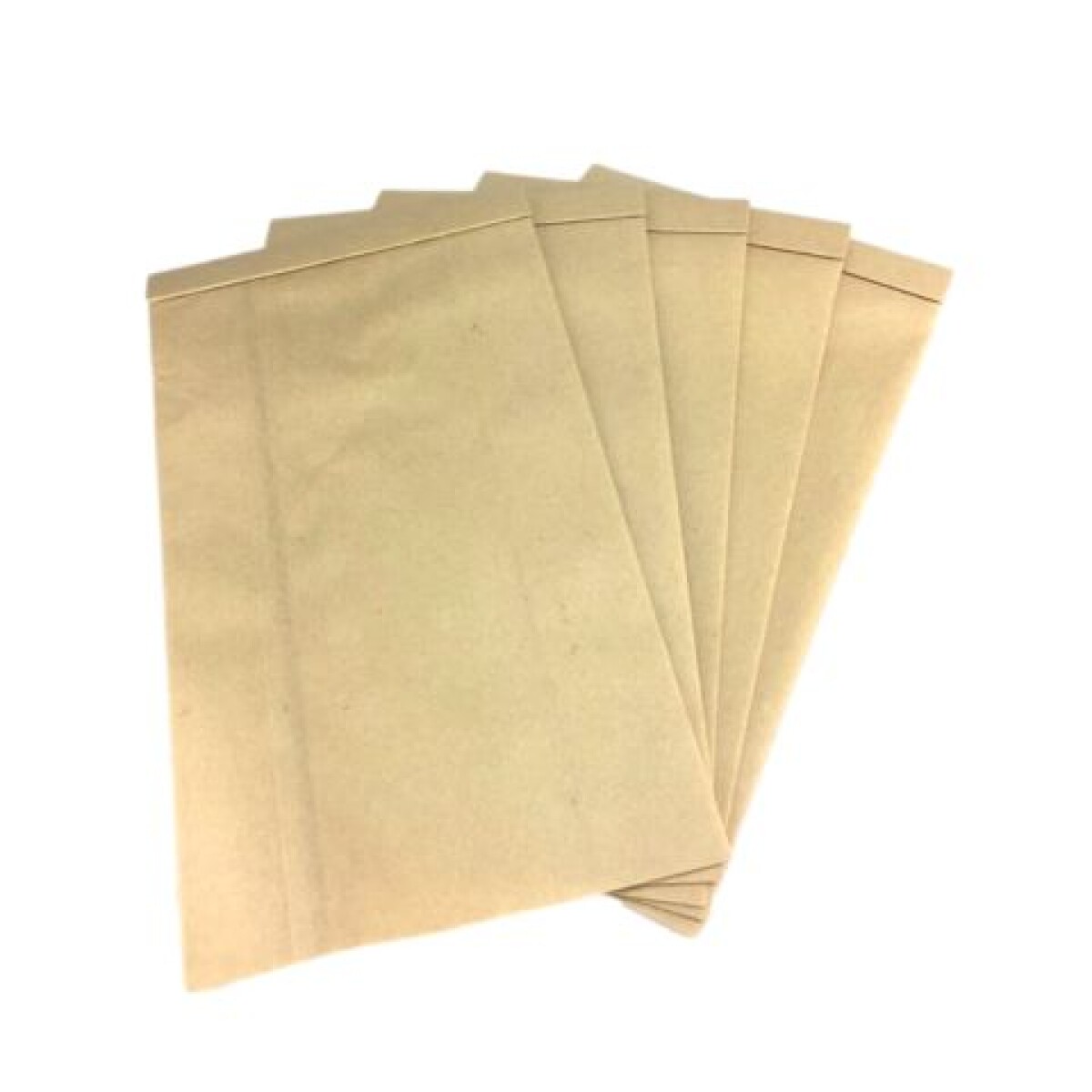 Filtro / Bolsa Papel Abierta Paquete 5 Unidades 