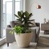 MACETERO PLAST BEIGE 49X38CM Unica