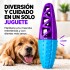 Juguete Morder Perros Gatos Limpieza Dental Golosinas Premio Celeste Violeta