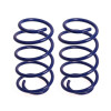 ESPIRAL PROGRESIVO TRASERO Espiral Progresivo Trasero