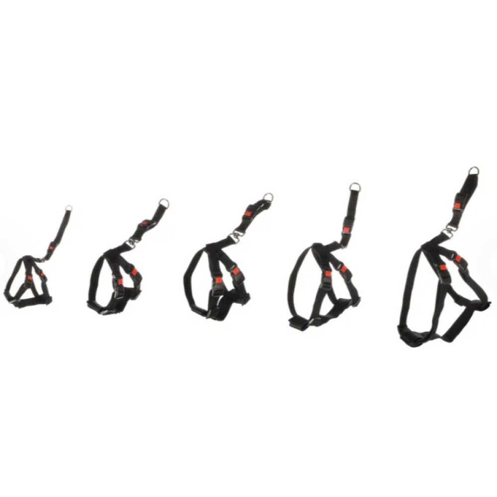 ARNES DE SEGURIDAD COCHE DUMA M NEGRO 40-60CM ARNES DE SEGURIDAD COCHE DUMA M NEGRO 40-60CM