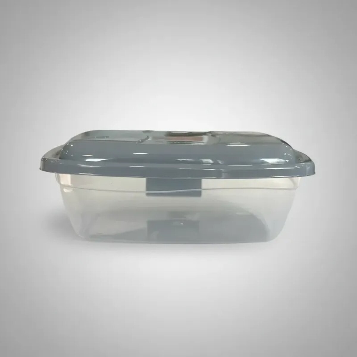 Tupper Rectangular Mediano De Plástico - Ra901 - Rainha 