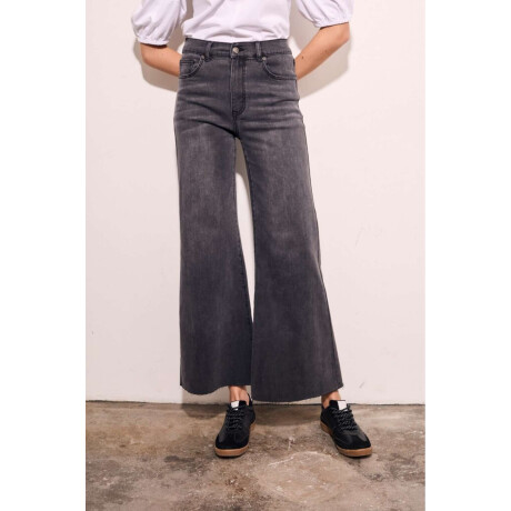 Jean Flared Wide Leg Denim Gris