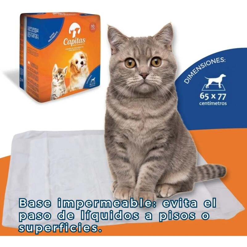 PAÑALES SABANITAS DE ENTRENAMIENTO DE MASCOTAS CAPITAS 10 UNIDADES PAÑALES SABANITAS DE ENTRENAMIENTO DE MASCOTAS CAPITAS 10 UNIDADES