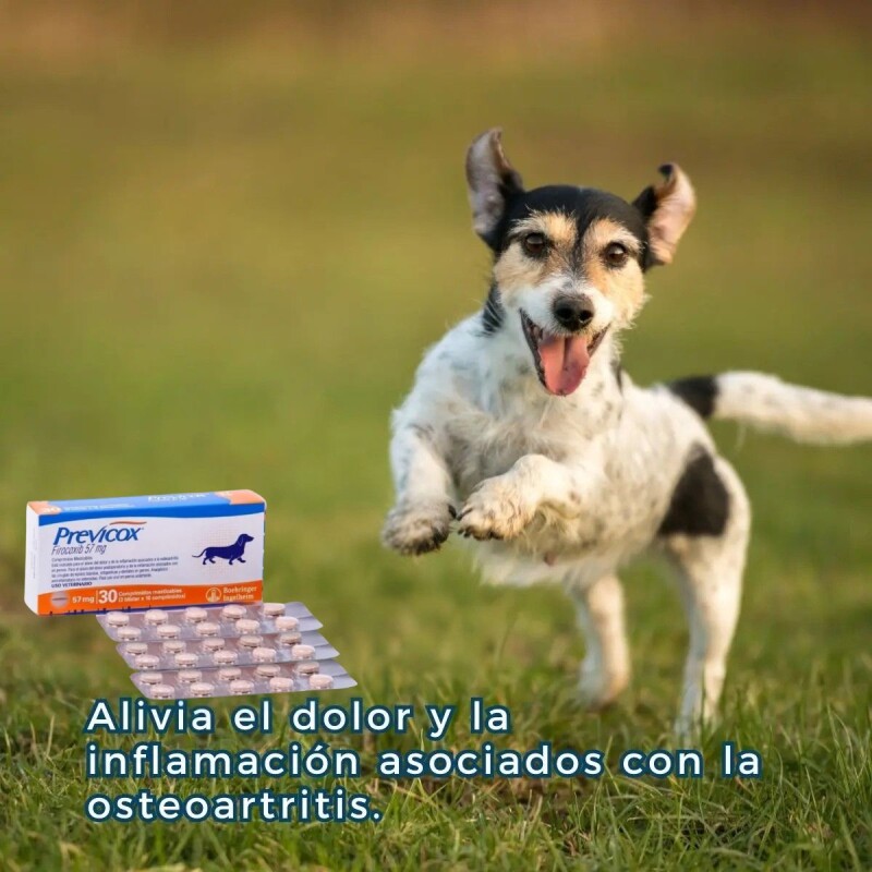 PREVICOX 57 MG X CAJA DE 30 COMPRIMIDOS