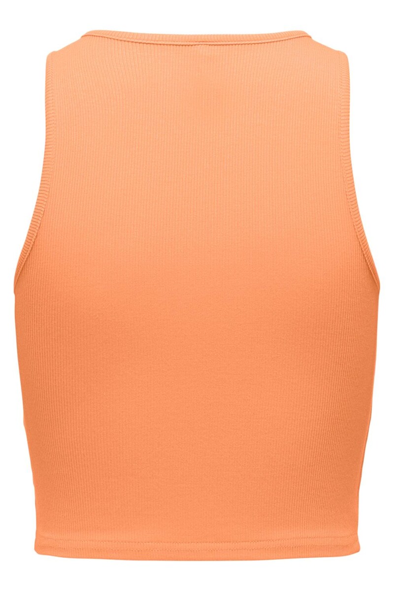 Camiseta Belia Crop Top Orange Chiffon