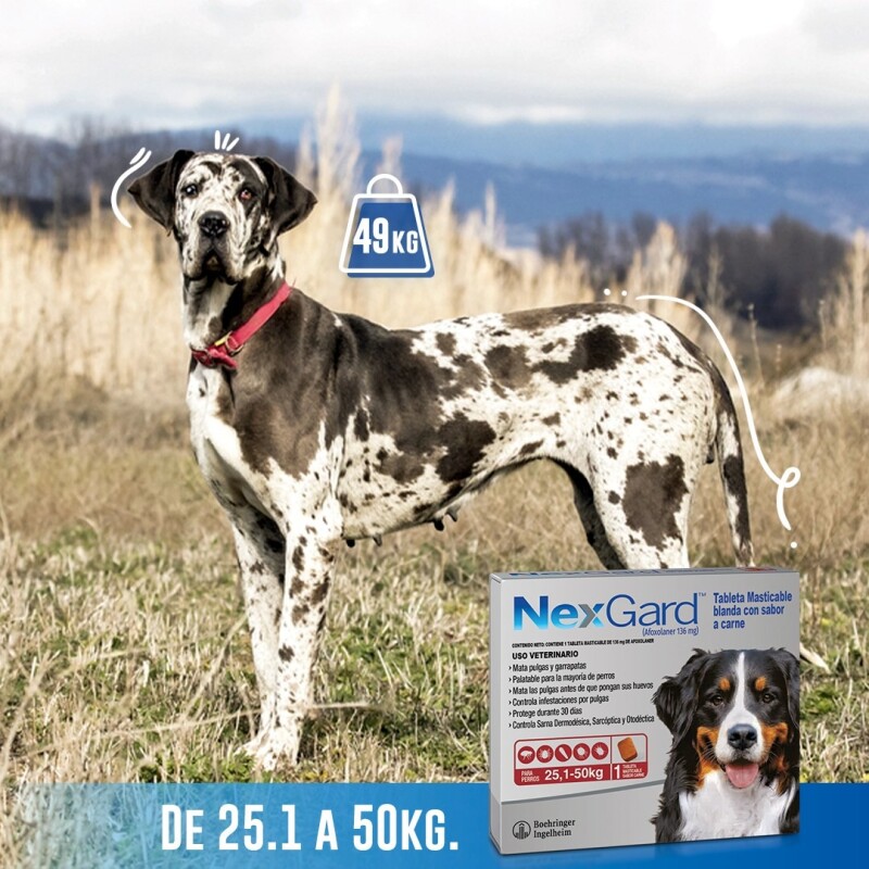 NEXGARD PASTILLA ANTIPULGAS Y GARRAPATAS X 3 COMP DE 25,1 A 50 KG