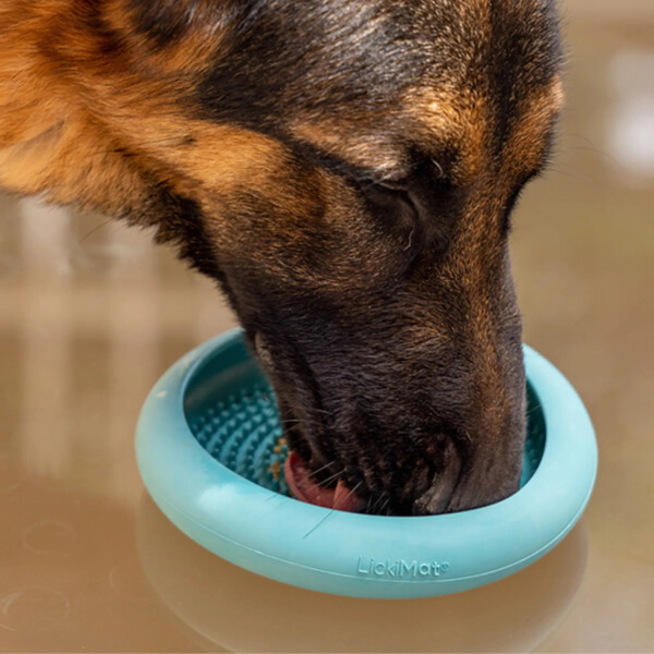 Plato Alfombra Lamer Anti Ansiedad Estres Comida Perro Gato Variante Color Celeste