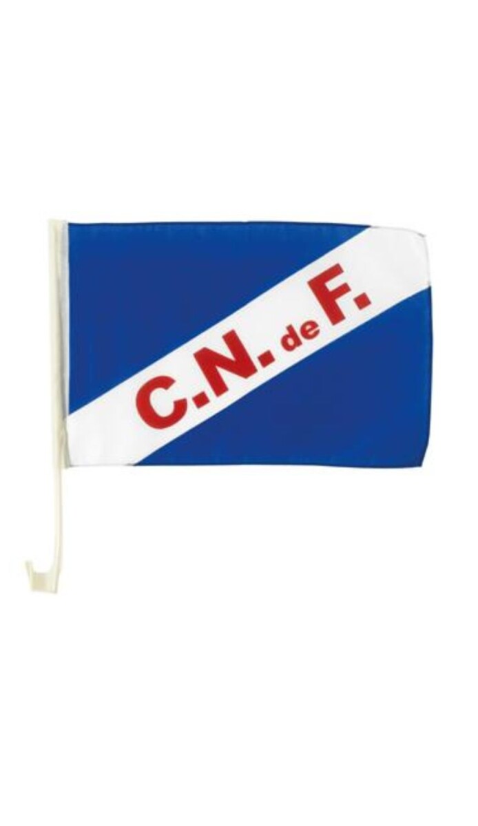 BANDERA PARA AUTO NACIONAL 30X45CM 