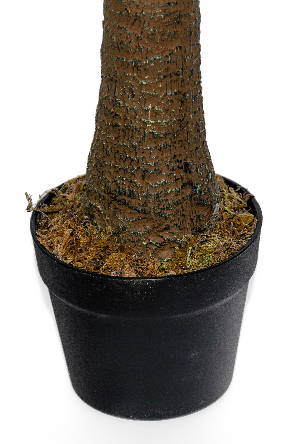 Planta Palmera De Yuca 140cm Color Unico