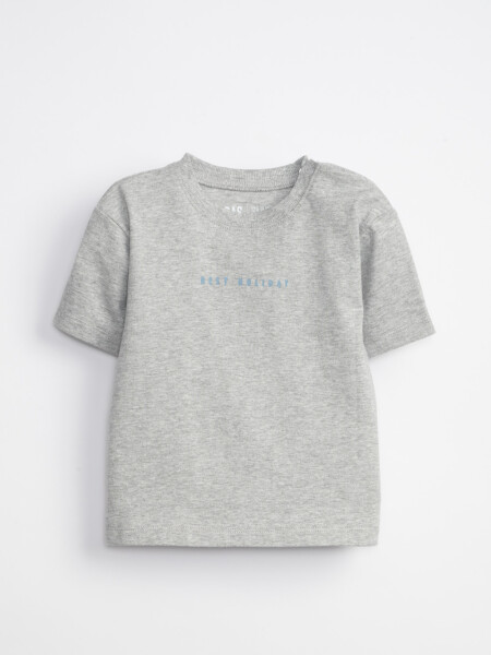 Remera oversize estampa Palmeras Gris