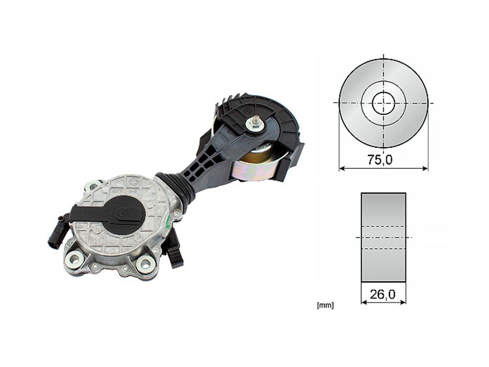 Tensor De La Bomba Agua BMW 316I (F30)/120I (F20)/118I (F21)/114I (F21)/116I (F20)/118I (F20)/320I (F30) Citroen C3 Picasso/C3 