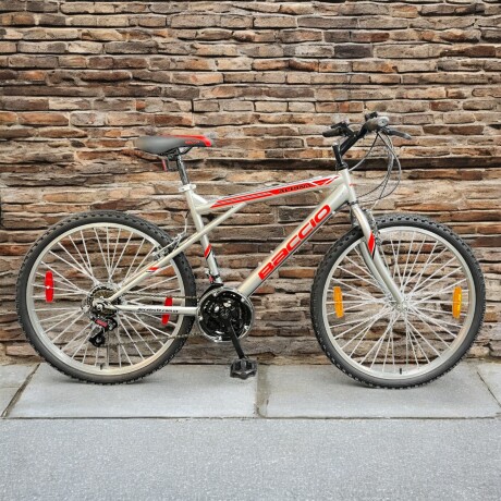 Bicicleta Baccio Alpina Man Montaña rodado 26 con 21 cambios GRIS