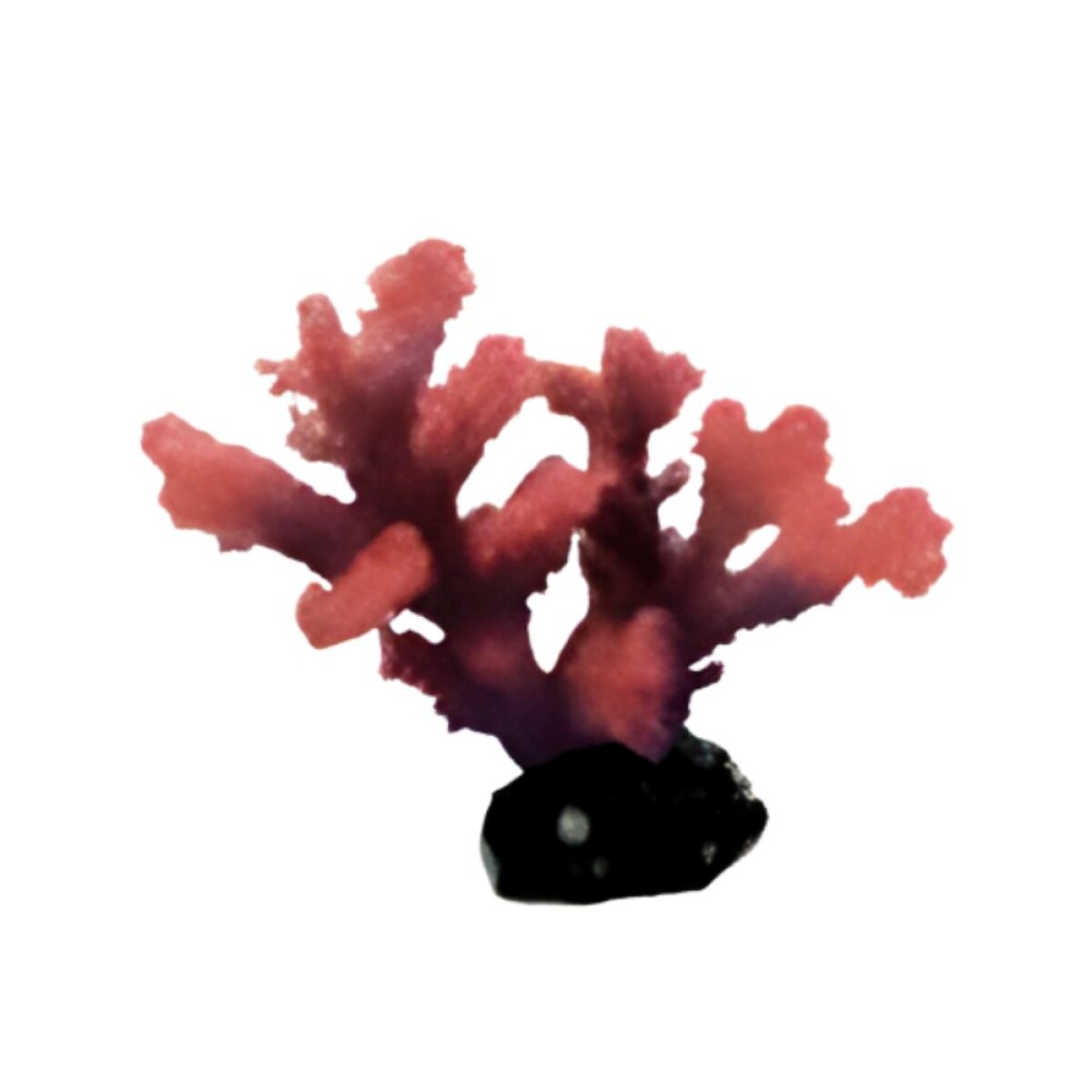 Adorno Resina Coral Rojo 