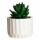 Mini Planta Artificial Decorativa Maceta Acanalada Cemento Verde