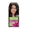 Garnier Cor intensa Tono 2.0