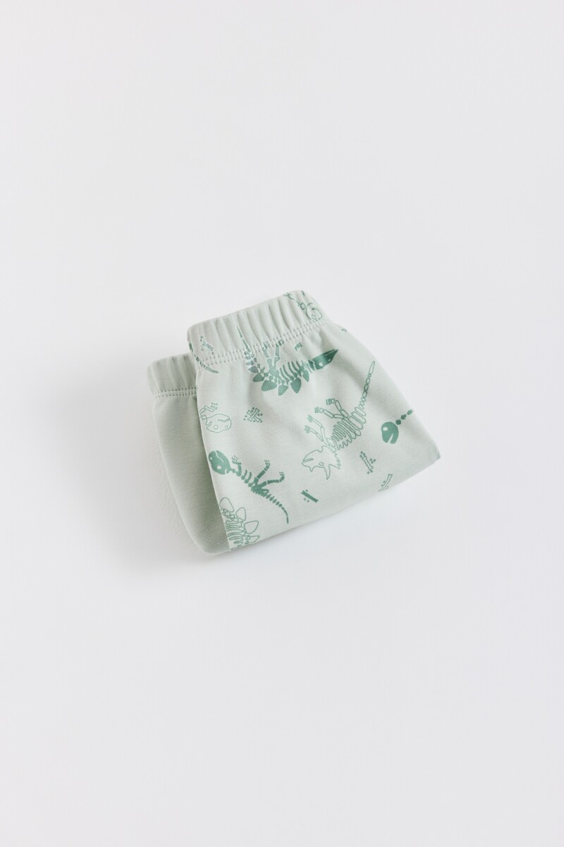 SET BOXER X2 REXY Verde