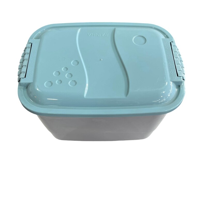 Caja Organizadora rectangular mediana de plástico con trabas - RAINHA Caja Organizadora rectangular mediana de plástico con trabas - RAINHA