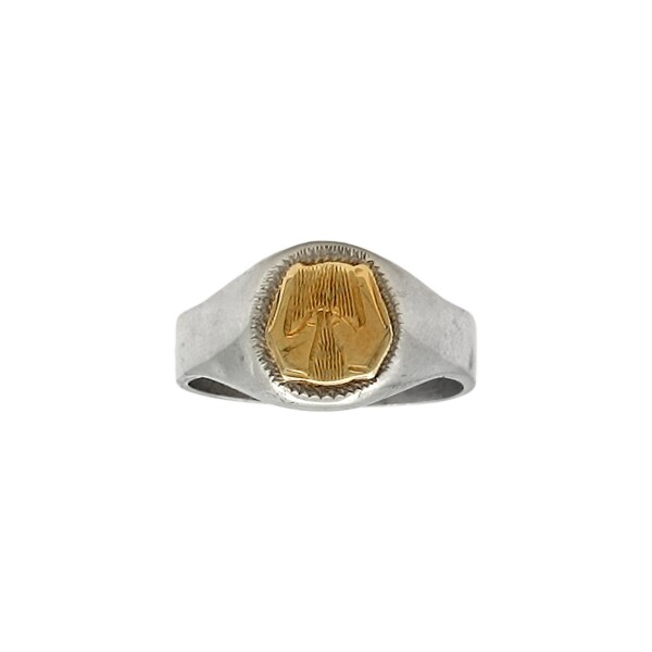 Anillo Profesión Asistente Social -Plata y Oro-Sin Piedra-AP5018 sinpiedra