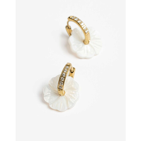 Argollas De Acero Con Nácar Dorado