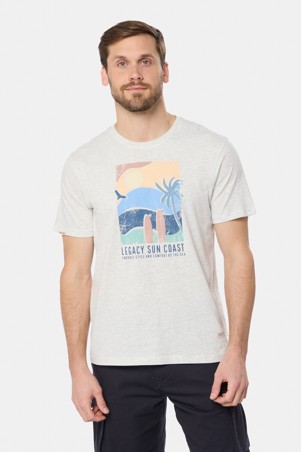 REMERA ESTAMPADA Gris