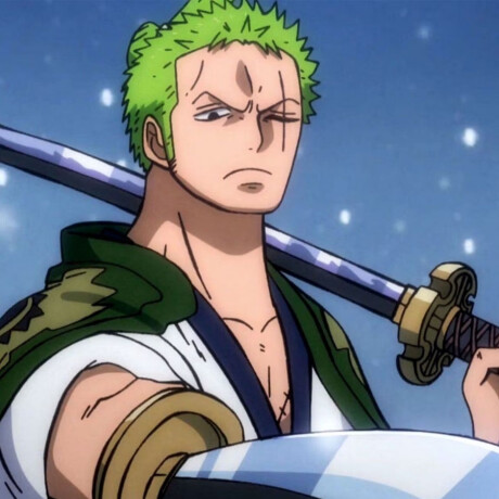 Roronoa Zoro • One Piece - 923 Roronoa Zoro • One Piece - 923