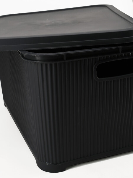 CAJA ORGANIZADORA CON TAPA GRIS