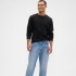 V-LS EVERYDAY SOFT CREW - SOLID BLACK