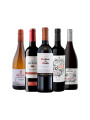 Pack Bacán Selección En equilibrio x5 vinos Pack Bacán Selección En equilibrio x5 vinos
