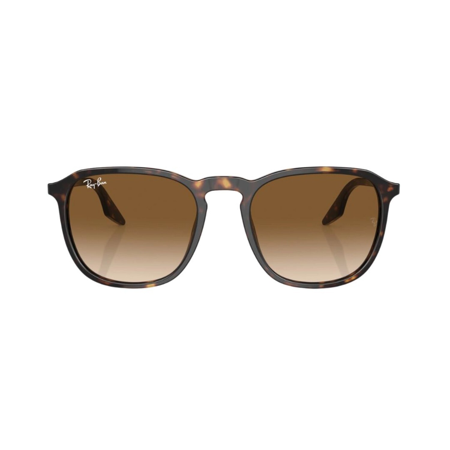 RB 2203 52 col 902 51 Optica Florida