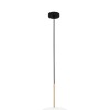 COLGANTE HONGO 1L G9 VIDRIO DIFUSO COLGANTE HONGO 1L G9 VIDRIO DIFUSO