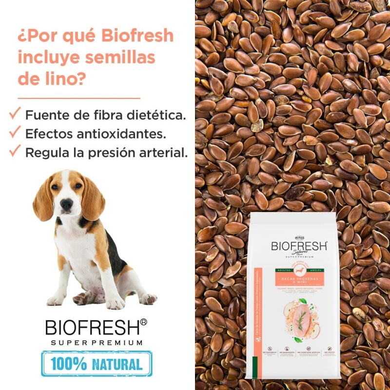 BIOFRESH PERROS ADULTOS RAZAS PEQUEÑAS Y MINI 3 KG