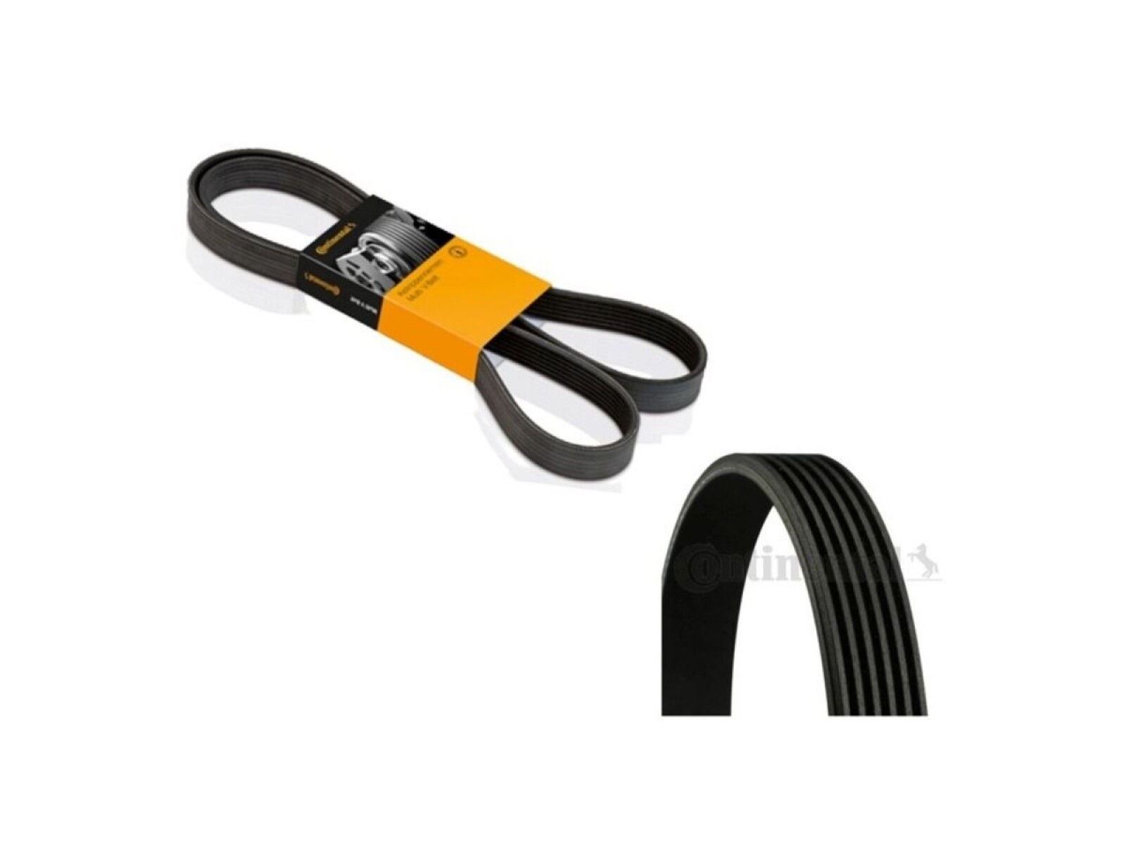 Correa De Accesorios 