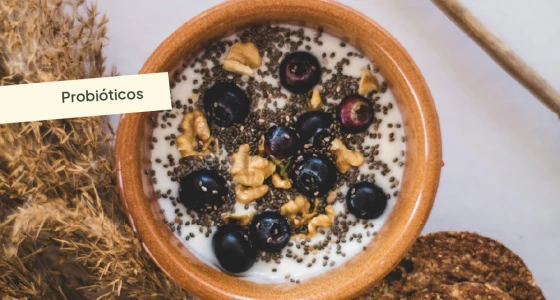 ¿Qué son los probióticos y por qué incluirlos en tu alimentación diaria?