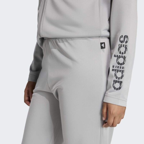 Conjunto Adidas Essentials Big Linear Gris