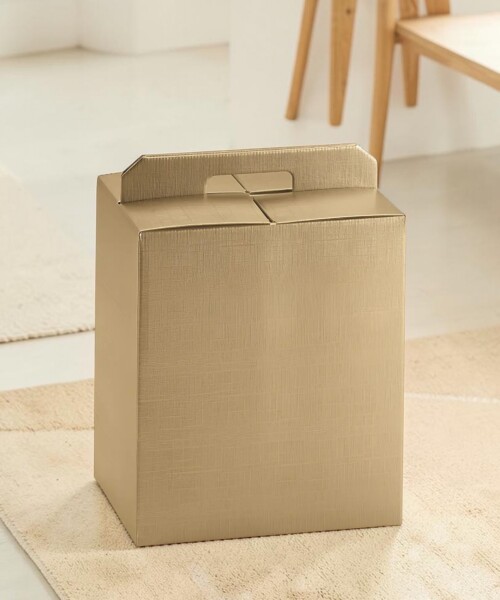 Caja Rígida Premium 33x25x35 cm - 1166 - SETA ORO Caja Rígida Premium 33x25x35 cm - 1166 - SETA ORO
